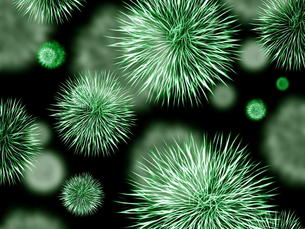 Bluthochdruck Ursache Candida-Pilzbefall
