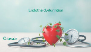 Endotheldysfunktion: Glossar zu Ursachen und Folgen