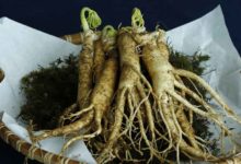 Ginseng und Bluthochdruck
