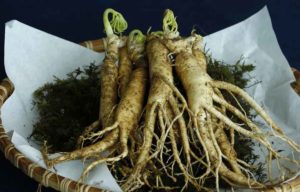 Ginseng und Bluthochdruck – So funktioniert die regulierende Wirkung