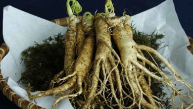 Ginseng und Bluthochdruck