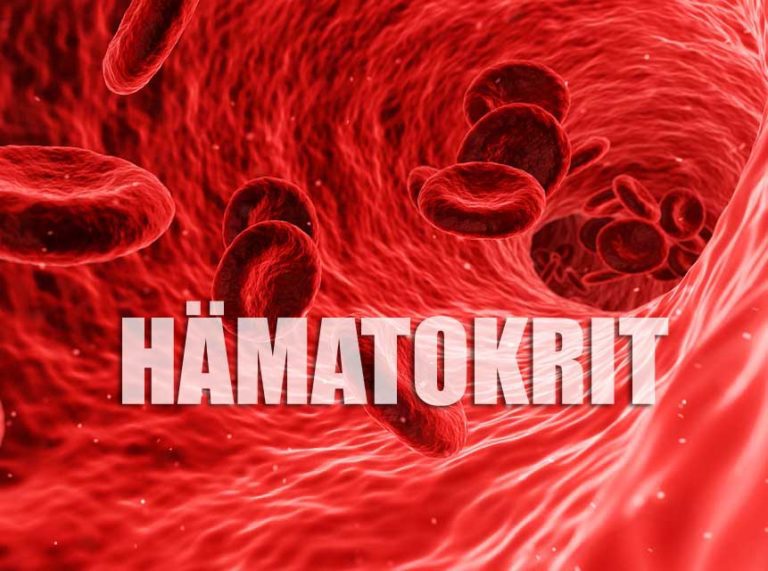 Hämoglobin - zu niedrig oder zu hoch ★ Laborwerte verstehen