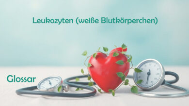 Leukozyten (weiße Blutkörperchen) Glossar