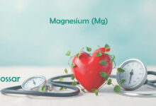 Magnesium (Mg) Glossar