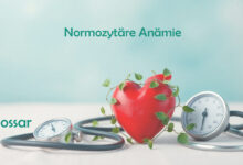 Normozytäre Anämie Glossar