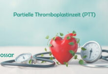 Partielle Thromboplastinzeit (PTT) Glossar