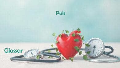 Puls Glossar