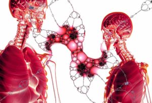 Blutarmut – Ursachen, Symptome und Behandlung