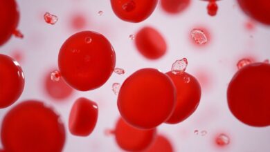 Blutplättchen: Bedeutung für die Blutgerinnung