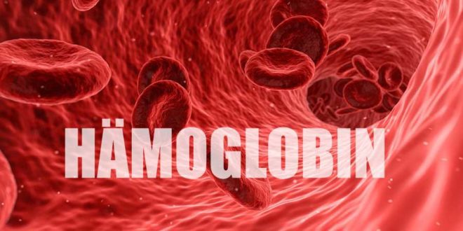 Hämoglobin Zu Niedrig Ursache Hämoglobin - zu niedrig oder zu hoch ★ Laborwerte verstehen