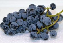 OPC gegen hohen Blutdruck bzw. Arterielle Hypertonie